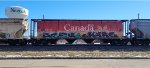 CN 110118